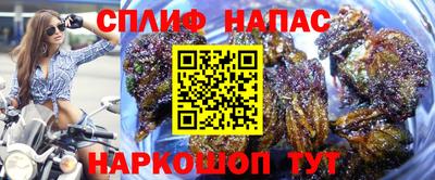 дживик Будённовск