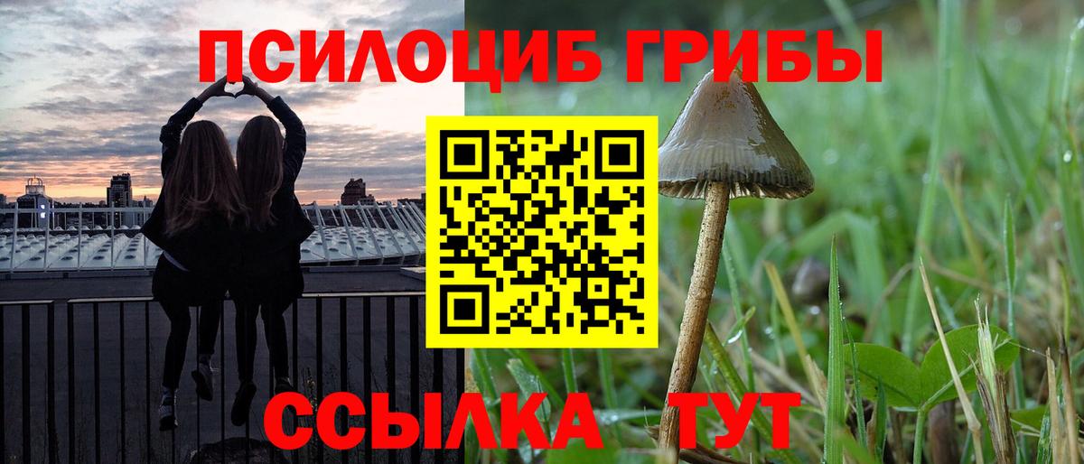 Галлюциногенные грибы MAGIC MUSHROOMS Муром