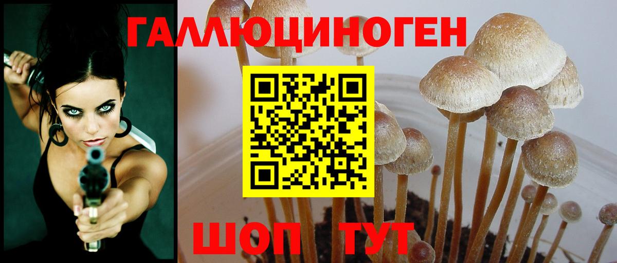 Галлюциногенные грибы ЛСД  Вход с VPN  Муром 